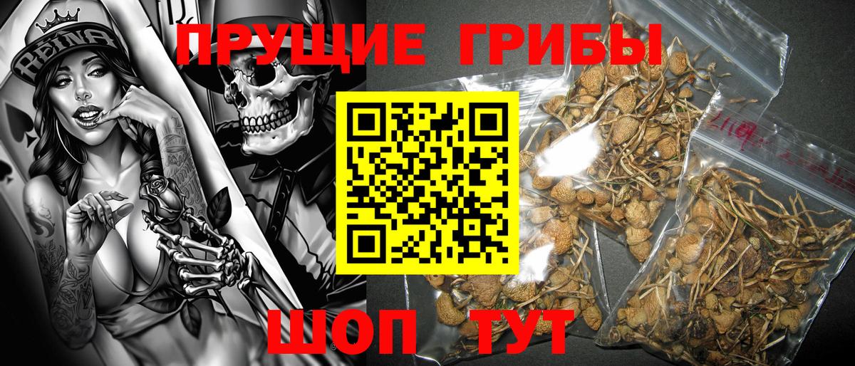 Псилоцибиновые грибы мухоморы  Галлюциногенные грибы GOLDEN TEACHER  Сосновоборск  Вход с VPN 